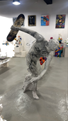 Default Title