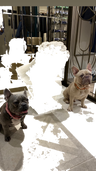 Default Title