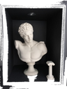 Default Title