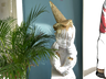 Default Title