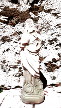 Default Title