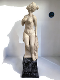 Default Title