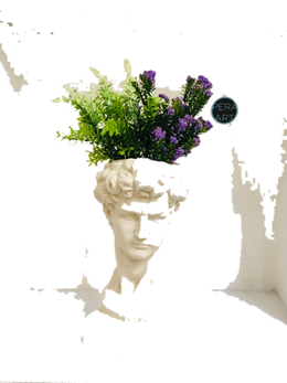 Drag&Drop transparent product image - Saksı Büst Davut