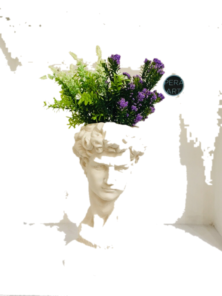 Drag&Drop transparent product image - Saksı Büst Davut