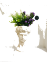 Default Title