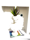 Default Title