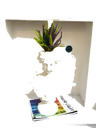 Default Title