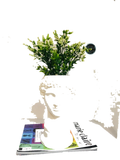 Default Title
