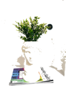 Default Title
