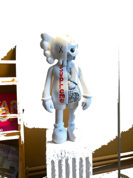 Drag&Drop transparent product image - Supreme Organ Kaws