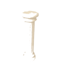 Default Title