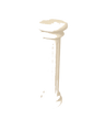 Default Title