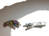 Default Title