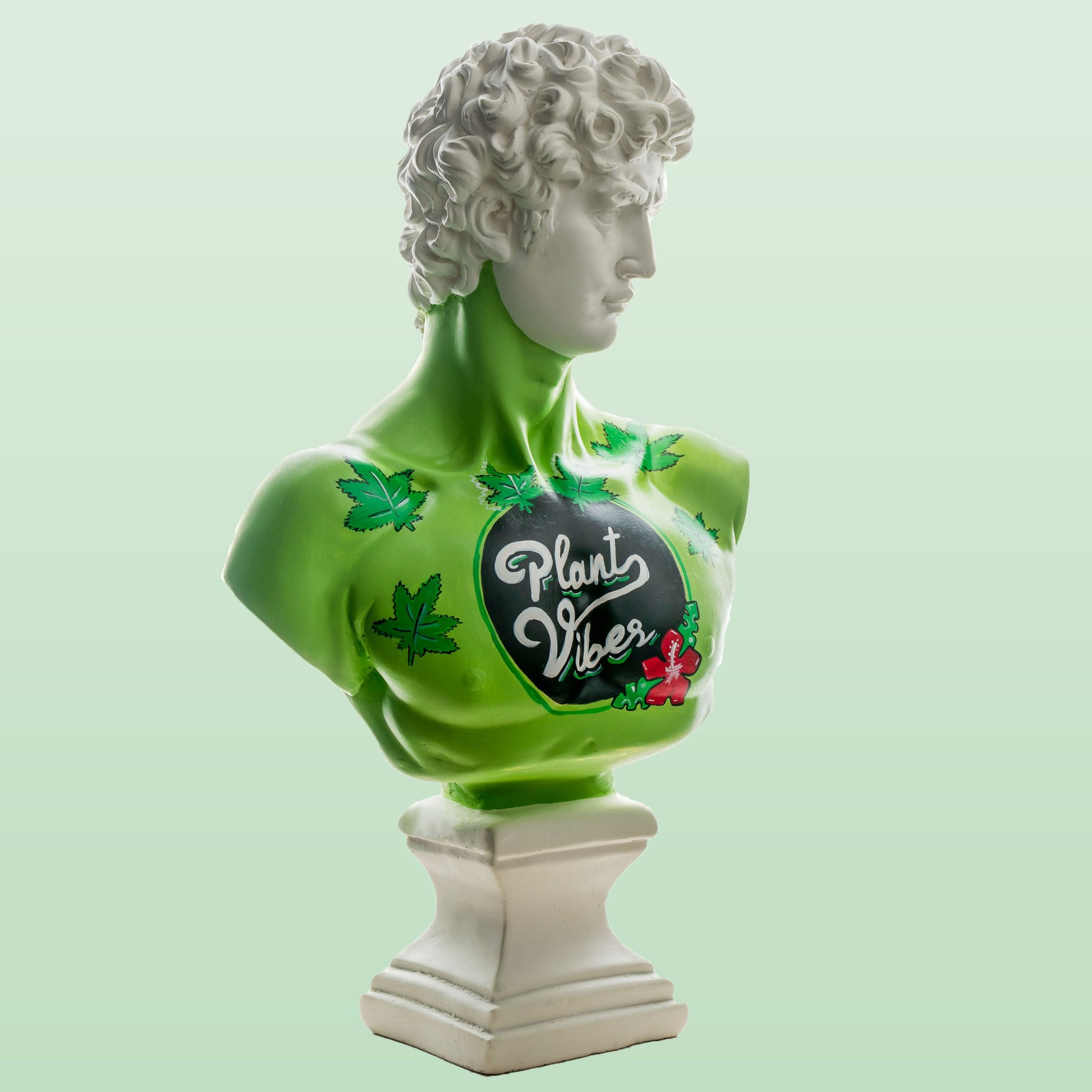plantsvibes2