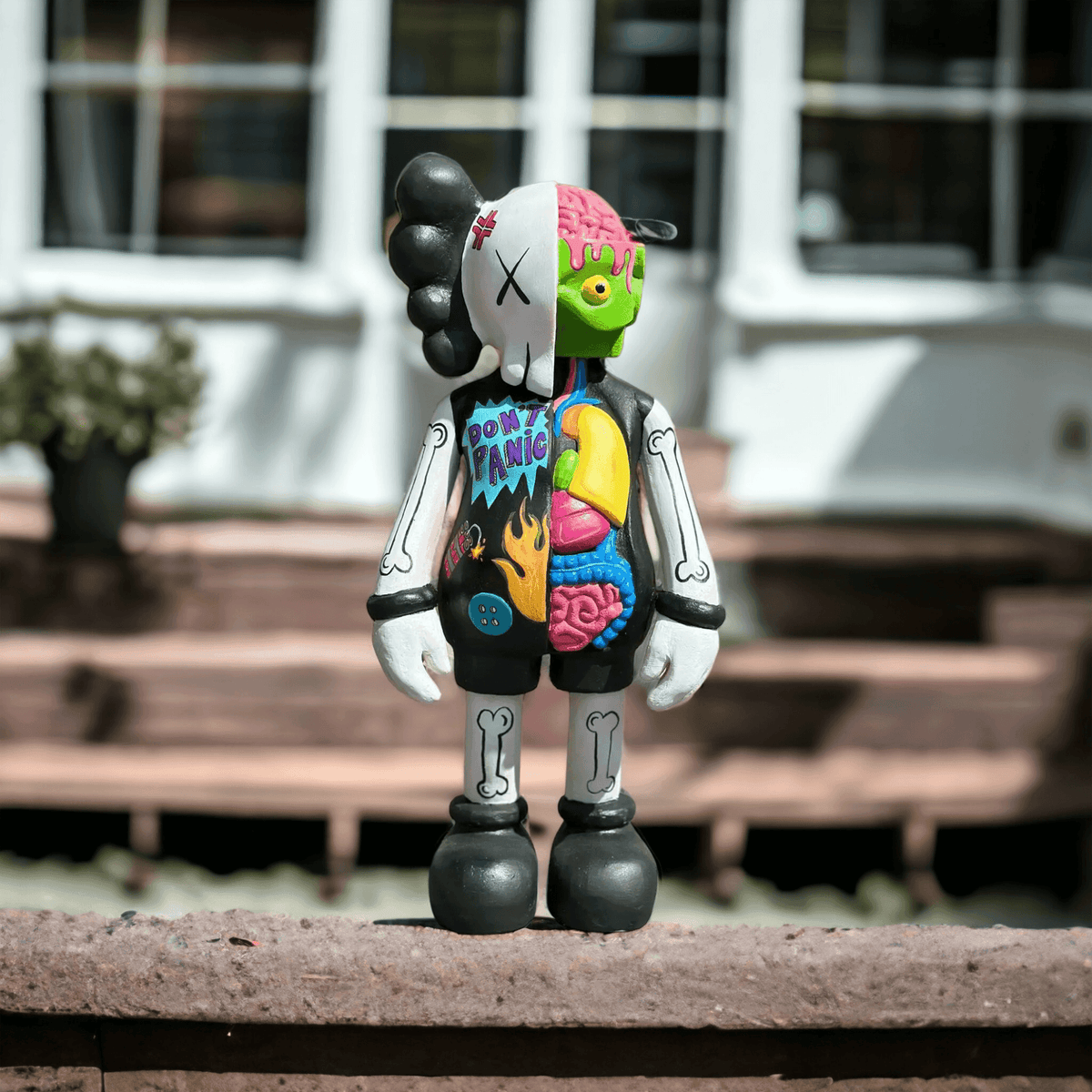 Pop Art Organ Kaws - vinterro
