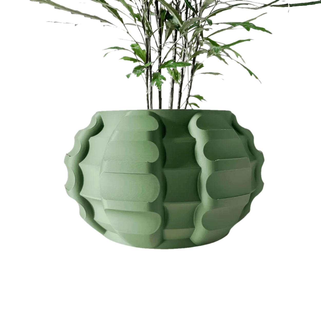 Drag&Drop transparent product image - Renio Vazo