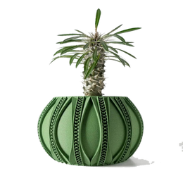 Drag&Drop transparent product image - Ryne Saksı