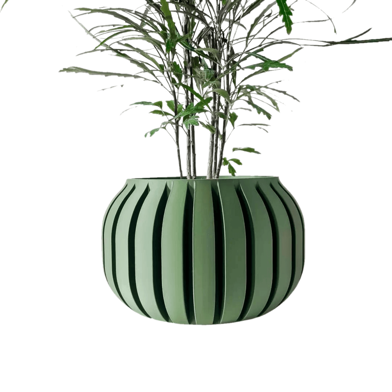 Drag&Drop transparent product image - Caisos Vazo
