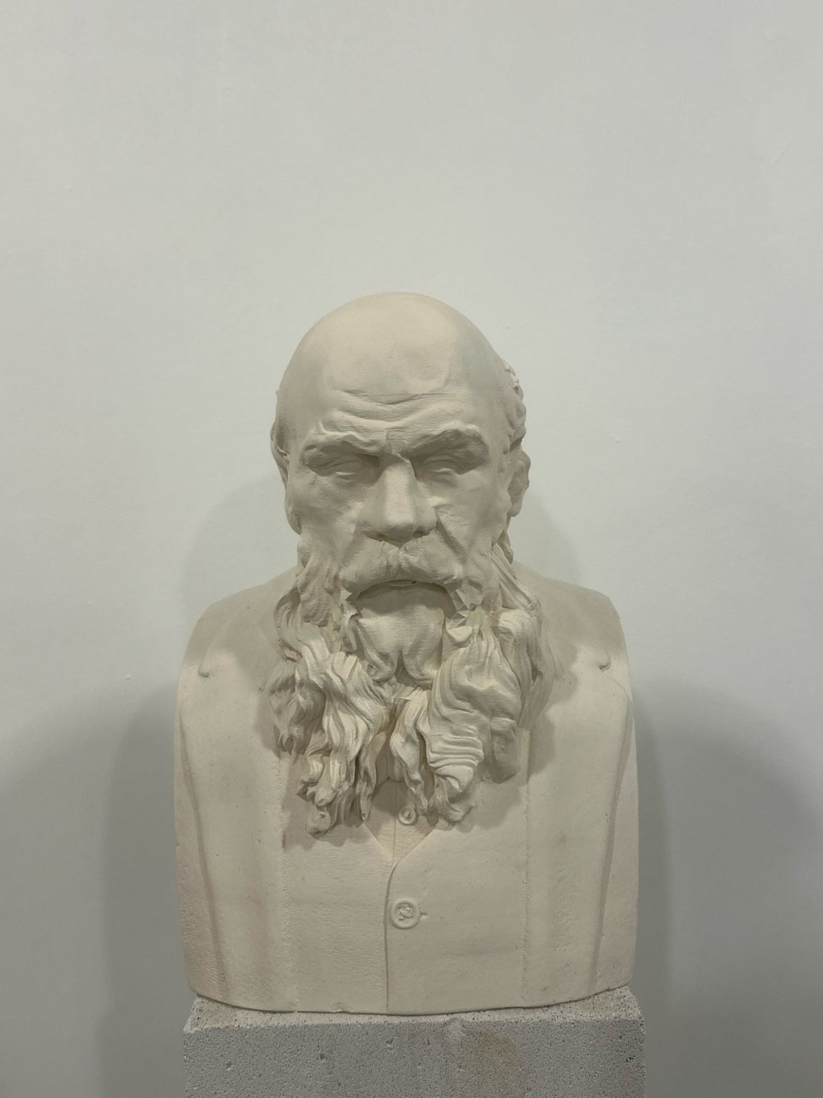 Tolstoy Büstü ürün görseli