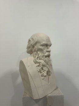tolstoy2