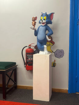 tomvejerry