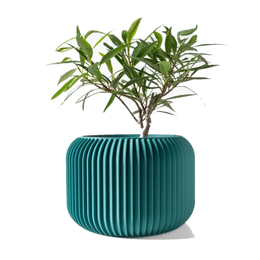 Drag&Drop transparent product image - Unis Saksı