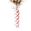 Default Title