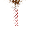 Default Title